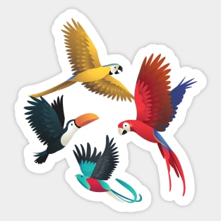 Parrots Collection Sticker